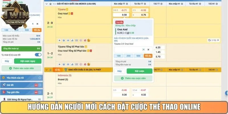 Hướng dẫn người mới cách đặt cược Thể Thao online